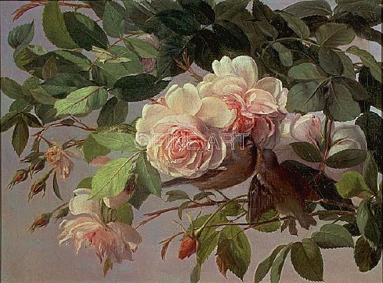 Photo of "BILLING AND COOING" by CARL VILHELM BALSGAARD