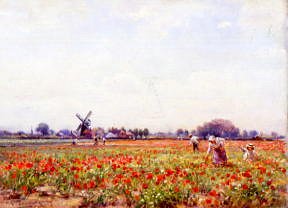 Photo of "POPPY FIELD, HEMINGFORD GREY, CAMBRIDGESHIRE, ENGLAND" by WILLIAM KAY BLACKLOCK