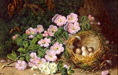 Photo of "A BIRD'S NEST WITH HAWTHORN AND PINK BLOSSOM" by CHARLES THOMAS BALE
