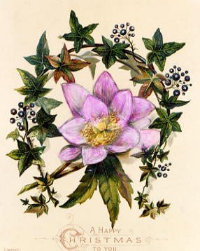 Photo of "A HAPPY CHRISTMAS TO YOU" by  ANONYMOUS