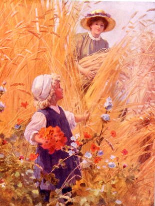 Photo of "THE POPPY FIELD" by PERCY TARRANT