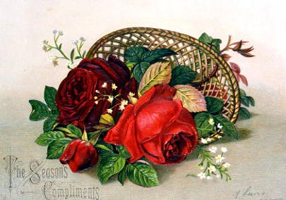 Photo of "RED ROSES IN A BASKET" by  L***** F.
