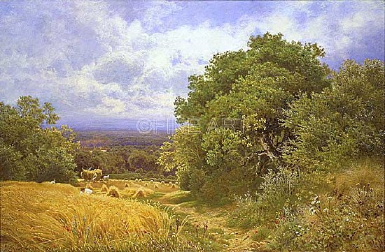 Photo of "HARVEST TIME" by JOHN CLAYTON ADAMS
