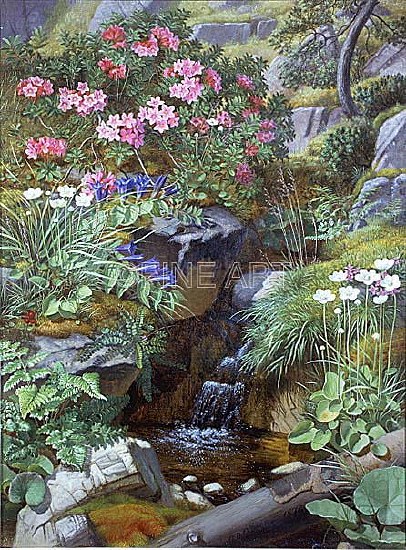 Photo of "ALPINE FLOWERS BY A STREAM" by OTTO DIDRIK OTTESEN