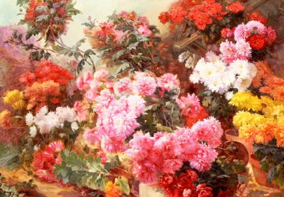 Photo of "COLOURFUL CHRYSANTHEMUMS" by HENRI-ARTHUR BONNEFOY