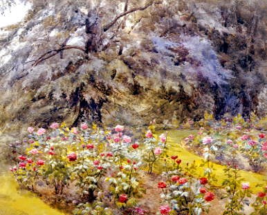 Photo of "THE ROSE GARDEN" by BEATRICE (NO LIFESPAN DA CUMMINGS