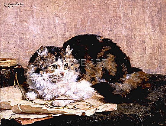 Photo of "A SWEET TORTOISHELL" by CHARLES VAN DEN EYCKEN