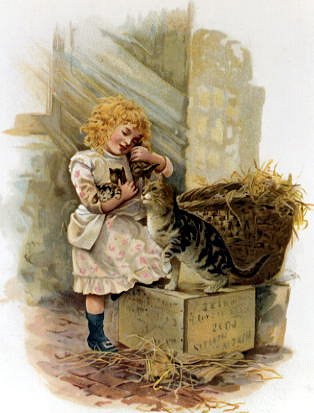 Photo of "KITTENS" by  ANONYMOUS