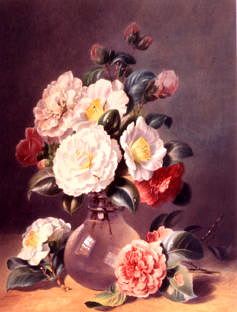 Photo of "CAMELLIAS" by VALENTINE BARTHOLOMEW