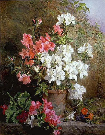 Photo of "STILL LIFE OF AZALEAS" by ANNIE FERAY MUTRIE