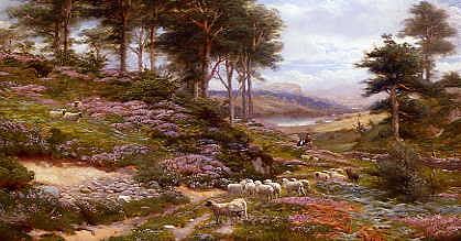 Photo of "THROUGH THE HEATHER, DUNKELD, SCOTLAND, UNITED KINGDOM" by GEORGE VICAT COLE