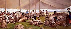 Photo of "SHEEPSHEARING" by EYRE CROWE