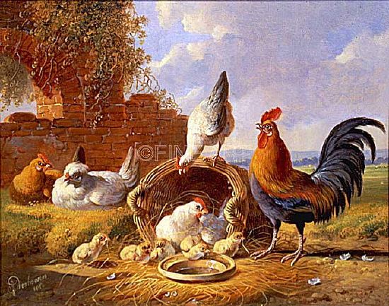 Photo of "SPRING CHICKENS" by ALBERTUS VERHOSEN