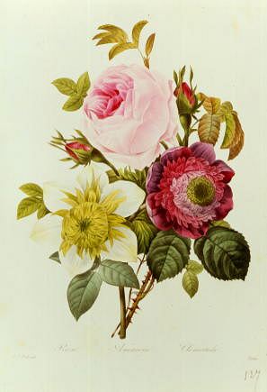 Photo of "BOUQUET DE ROSE, ANEMONE ET CLEMATIDE" by PIERRE-JOSEPH REDOUTE