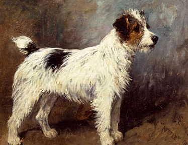 Photo of "A PORTRAIT OF NETTLE, A TERRIER" by JOHN EMMS