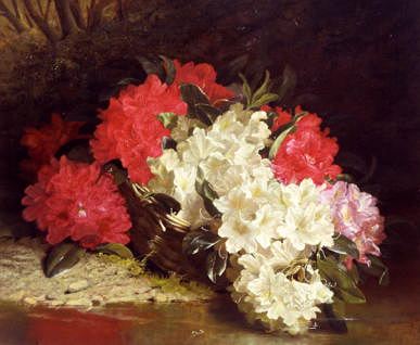 Photo of "AZALEAS" by JOHN FITZMARSHALL