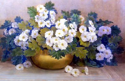 Photo of "A BOWL OF PRIMULAS" by EDITH BARROW