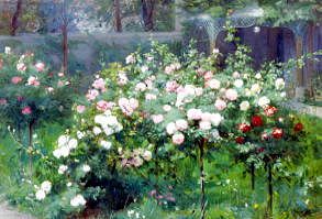 Photo of "THE ROSE GARDEN" by ANTOINE GRIVOLAS