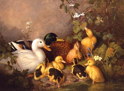 Photo of "A FAMILY OF DUCKS ON THE RIVERBANK" by WALTER WATSON