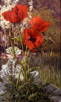 Photo of "POPPIES" by HENRI BIVA