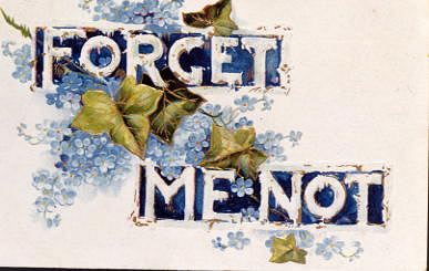 Photo of "FORGET ME NOT" by  ANONYMOUS