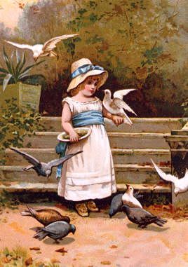 Photo of "FEEDING THE BIRDS." by  ANONYMOUS