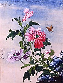 Photo of "WATERCOLOUR OF FLOWERS" by CHINESE WATERCOLOUR ANONYMOUS