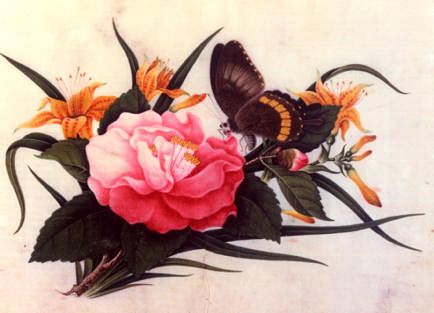 Photo of "A CAMELLIA WITH A BUTTERFLY." by  ANONYMOUS