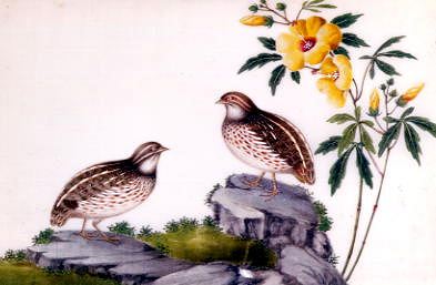 Photo of "STILL LIFE WITH EXOTIC BIRDS." by  ANONYMOUS