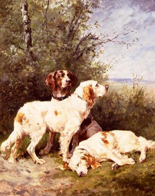 Photo of "THREE IRISH SETTERS" by OLIVIER DE PENNE