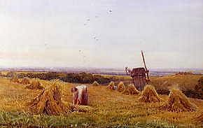 Photo of "HAYMAKING" by VIVIAN RALT