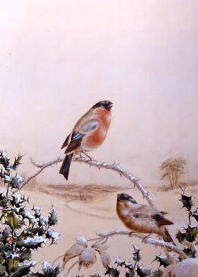 Photo of "FINCHES IN A WINTER LANDSCAPE" by HARRY BRIGHT
