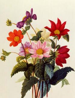 Photo of "STILL LIFE OF DAHLIAS" by GEORGIUS JACOBUS JOHANNE VAN OS