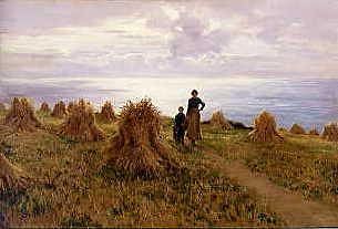 Photo of "STOOKS ON THE COAST" by FLORENCE A. SALTMER