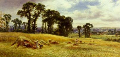 Photo of "HARVESTING" by ROBERT GALLON