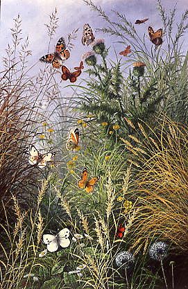 Photo of "THE BUTTERFLIES' HAUNT (DANDELION CLOCKS & THISTLES)" by WILLIAM SCOTT-MYLES