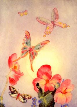 Photo of "BUTTERFLIES" by EDWARD JULIUS (COPYRIGHT DETMOLD