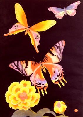 Photo of "BUTTERFLIES" by EDWARD JULIUS (COPYRIGHT DETMOLD