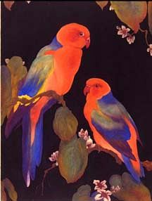 Photo of "PARROTS ON BLACK" by EDWARD JULIUS (COPYRIGHT DETMOLD