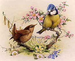 Photo of "A WREN AND A BLUETIT AMONGST FLOWERS" by EDWARD JULIUS (COPYRIGHT DETMOLD