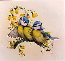 Photo of "BLUE TITS AND LABURNUM" by EDWARD JULIUS (COPYRIGHT DETMOLD