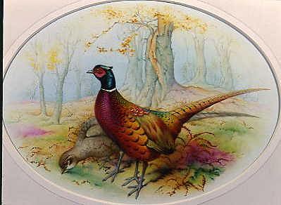 Photo of "PHEASANTS IN AUTUMN" by EDWARD JULIUS (COPYRIGHT DETMOLD