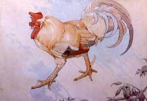 Photo of "THE COCKEREL" by EDWARD JULIUS (IN COPYR DETMOLD