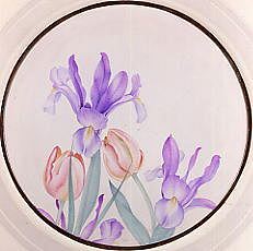 Photo of "TULIP AND IRIS ON WHITE" by EDWARD JULIUS (COPYRIGHT DETMOLD