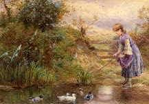 Photo of "FEEDING DUCKS." by MYLES BIRKET FOSTER