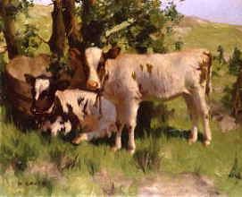 Photo of "TWO CALVES BESIDE A WATER BUTT" by DAVID GAULD
