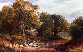 Photo of "SHEEP IN A LEAFY LANE." by GEORGE TURNER