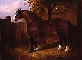 Photo of "A BAY STALLION" by JOHN FREDERICK II HERRING