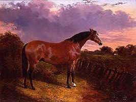 Photo of "A BAY STALLION" by JOHN FREDERICK II HERRING