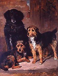 Photo of "KENNEL FRIENDS, 1890" by JOHN EMMS